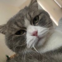 Chucky (@chuckybalim) Twitter profile photo