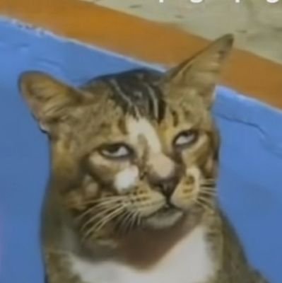 Argon_sulfur's profile picture.
