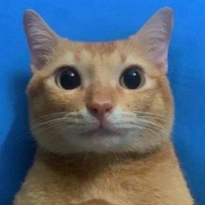 elnicocd's profile picture. No se qué poner aquí.