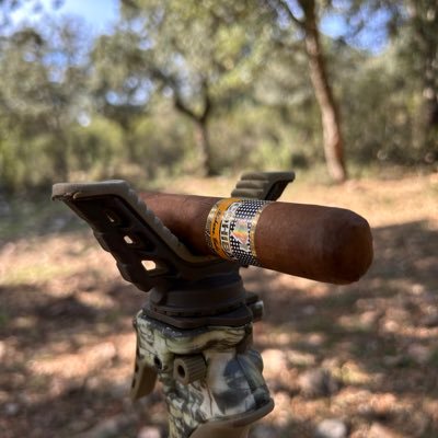 AlvaroM74's profile picture. Teleco. Me informo para no ser teleñeco. 
"The best time to plant a tree was 20 years ago. The second‐best time is now."