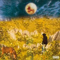 𝖎𝖑𝖑𝖗𝖆𝖎𝖓 🦅 (@illrain__) 's Twitter Profile
