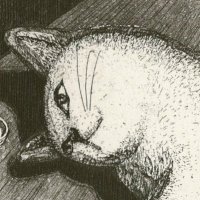 Fritz (@toastclover) 's Twitter Profile