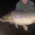 Tomo 🎣⚽️ DCFC 🐏 (@tommo196652) Twitter profile photo