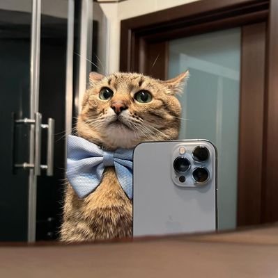 Pckpow_'s profile picture. Hello there.