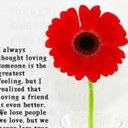 dianne rees - @di11 - Twitter