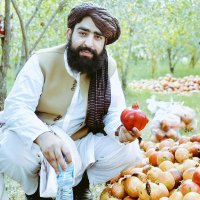 🦅عقاب افغان الحنفي/Uqab (@uqab_afghan98) 's Twitter Profile Photo 🦅عقاب افغان الحنفي/Uqab (@uqab_afghan98) 's Twitter Profile Photo