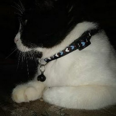 Akshub_27's profile picture. 