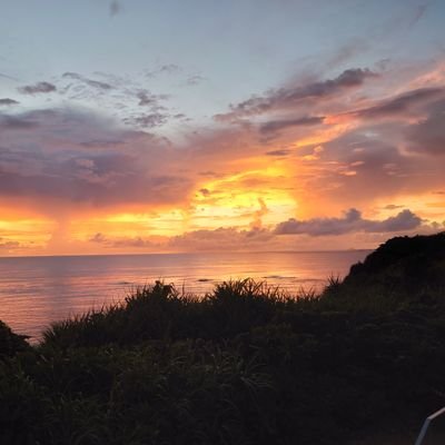 いつまでも元気に♪明日は今日よりも笑顔に♪
そんな日々を過ごすのに、健康を維持することはとても大事なこと。とくに心臓は大事な臓器だから大切にしたいけれど、専門家の医師の話なんてなかなか聞けないもの。循環器専門医の立場で心臓の健康のための情報をつぶやきます。
みなさんの健康に