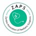 ZAPS (@zapsPSgy) Twitter profile photo