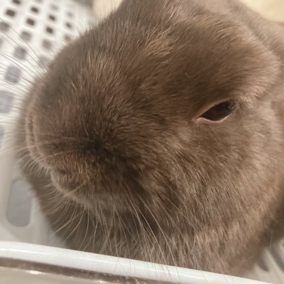 3k猫(20)さんのプロフィール画像