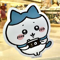 らくだ@ちいかわ情報局 (@chiikawa_camel) 's Twitter Profile
