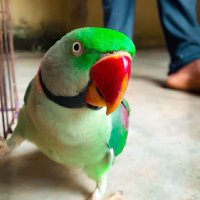 Arun Markam (@ammy0609) 's Twitter Profile Photo