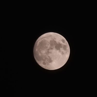 whattimeisit778's profile picture. 