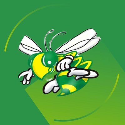 HelpOurHive_CES's profile picture. Churchland Elementary School PTO.  We are the Hornets, a Title I School, trying to raise money to give our students a new playground.