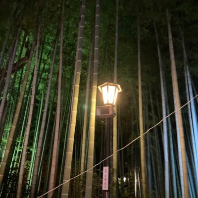 REI25066674's profile picture. 