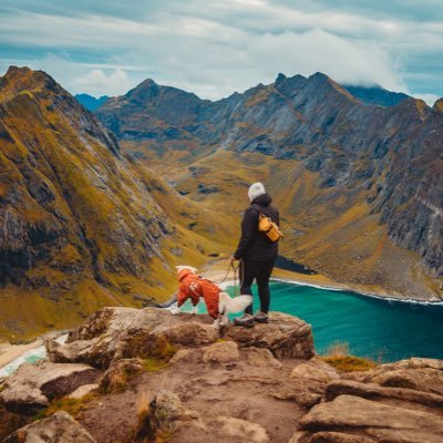 Millie + Helene 🇳🇴 Norway in Pawprints - a travel guide for dog owners. Dog-friendly accommodations, activities and adventures 🐾