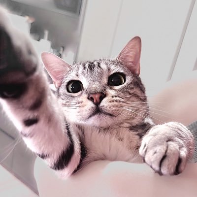 OxO_77O's profile picture. 