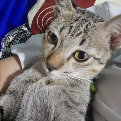 RiRiさんのプロフィール画像