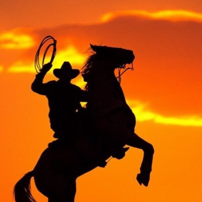 TheRaisar's profile picture. धर्मो रक्षति रक्षितः वीर भोग्या वसुंधरा #PKMKB Forever