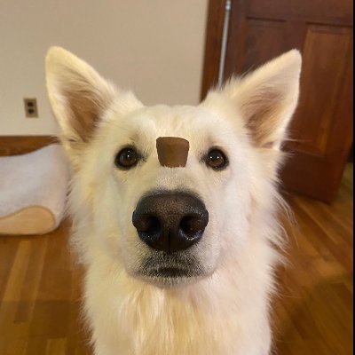 Joshswartz's profile picture. 