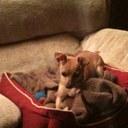 Terri bruce - @MyTerri - Twitter