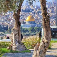Jassim Jassim (@jassimmjassim1) Twitter profile photo