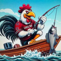 Gamecock James ( Win some, Lose none )(@alewine11) 's Twitter Profile Photo