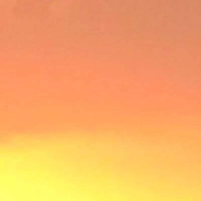 weal_ko's profile picture. 🥦💥🥦 成人済