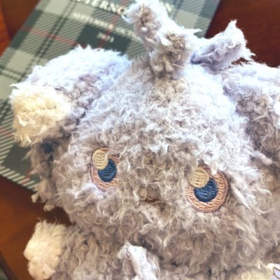 りぃくんさんのプロフィール画像