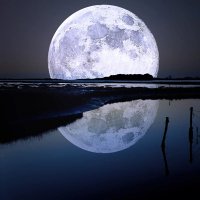 كمال | (@90_kmaal) Twitter profile photo