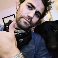 Paul. (parody) (@goingwesley) 's Twitter Profile