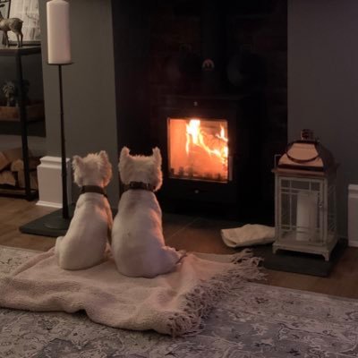 EricMamve65495's profile picture. I am.