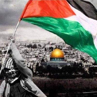 خريج تاريخ وحضارة فرعونيه
متابع للشأن السياسي- محب لبلده 🇪🇬
زمالكاوي
