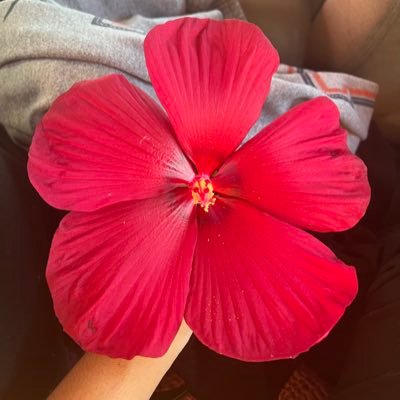 Karina_Ayeeee's profile picture. fuck it