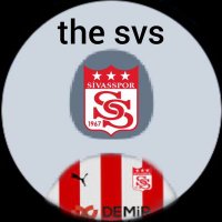 the_svs(@the_svs) 's Twitter Profile Photo