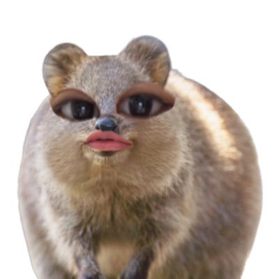 すみちゃんさんのプロフィール画像