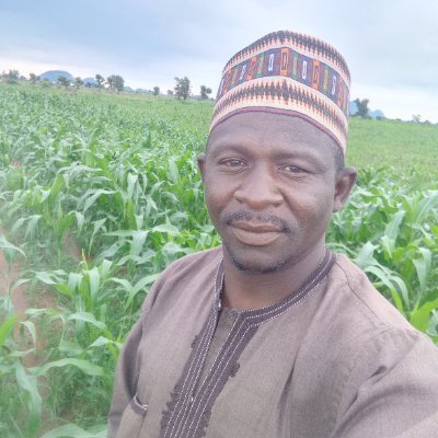 ZubairuAbd81155's profile picture. 