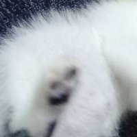 이프😵‍💫 (@yvesprofile) 's Twitter Profile Photo