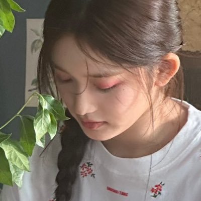 sonnettoyou Profile Picture