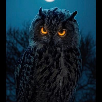 Chibuez50179512's profile picture. Live life to the fullest👌