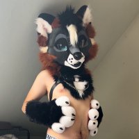 jekyllfox AD (@jekyfox) Twitter profile photo