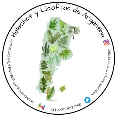 Biólogos dedicados al estudio de Helechos y Licofitas. Queremos difundir las especies de Argentina. ¡Esperamos tus fotos! @guguitter, Dani y Cosme 🌿