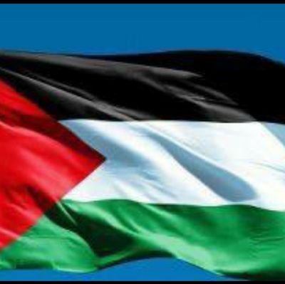 Mansour72477214's profile picture. 