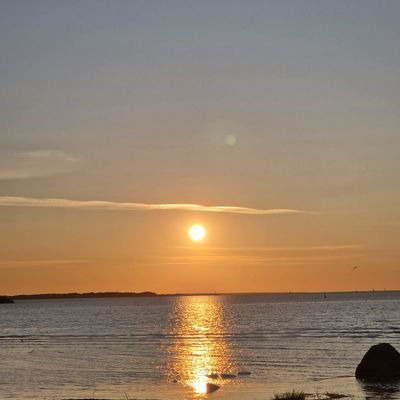 KL78957743's profile picture. 💜💛
Estonian🇪🇪