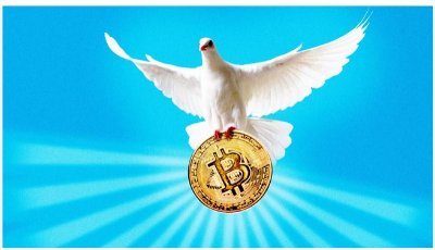 The profsessional account will major on updating the followers with information on crypto currency expecially the PI Network.