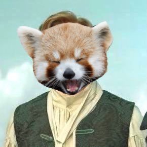 rin. 33. they/them. 3 red pandas in a trenchcoat. ECCC 2023 battle jacket haver. woke and ghey. assigned