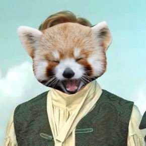 rin. 33. they/them. 3 red pandas in a trenchcoat. ECCC 2023 battle jacket haver. woke and ghey. assigned 