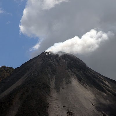 StevenW53346726's profile picture. 