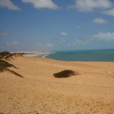 Vivenciar o Naturismo e o estilo de vida saudável.