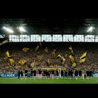 @BVB|🖤💛| Echte Liebe |